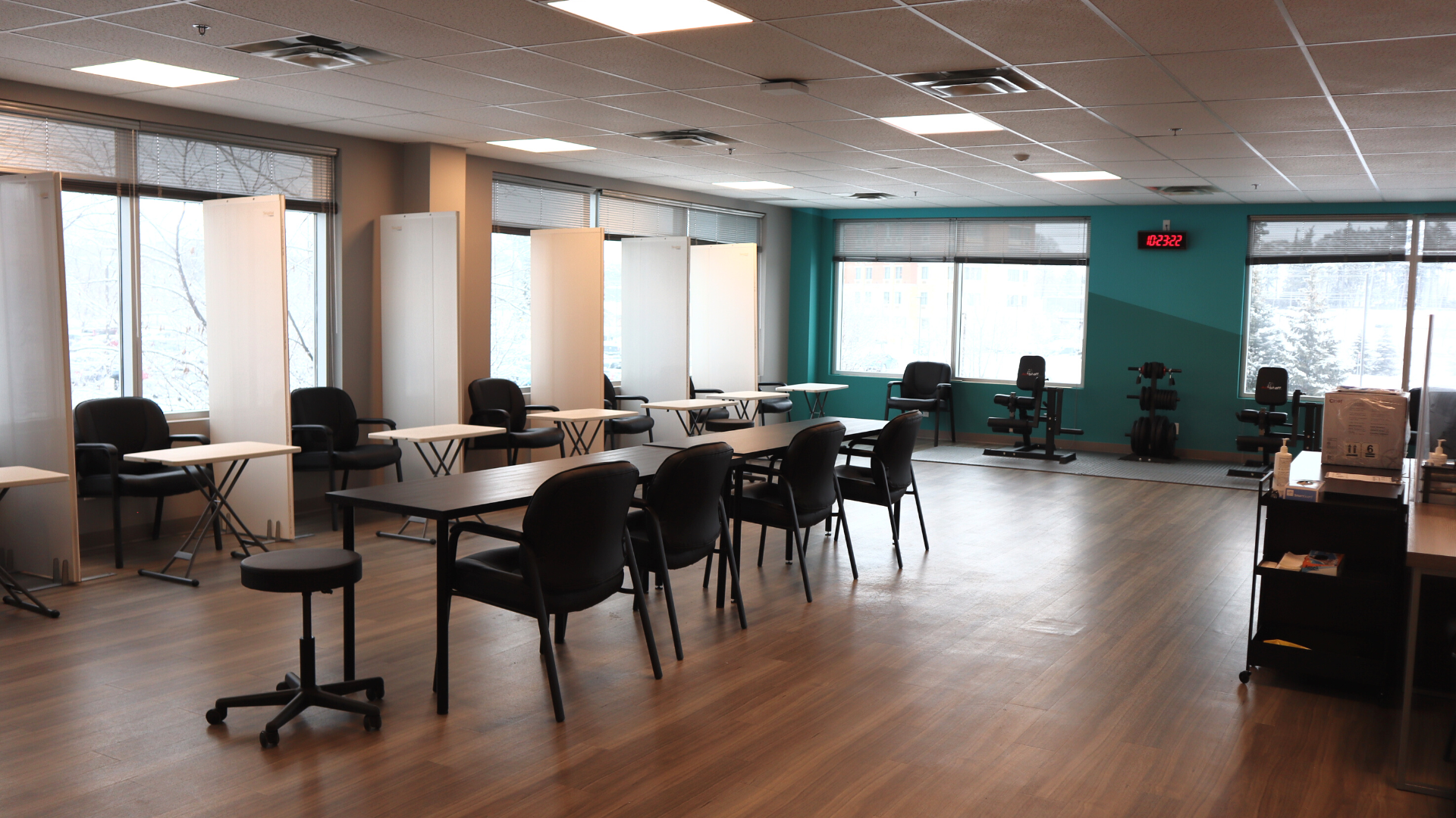 Pharmacokinetic (PK) Study Area